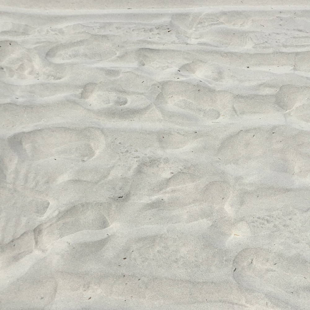 Meet your Posher, Louis